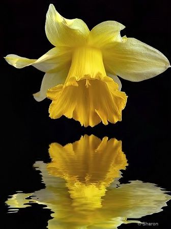 20 Signs You Were Raised by a&nbsp;Narcissist